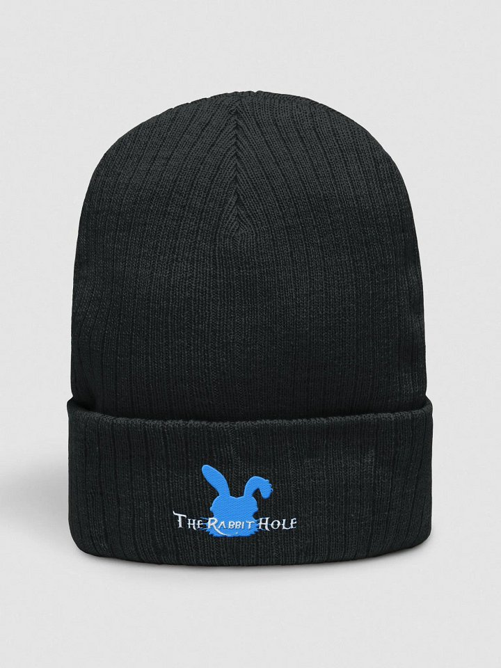 Atlantis Eco-Friendly Knit Beanie product image (1)