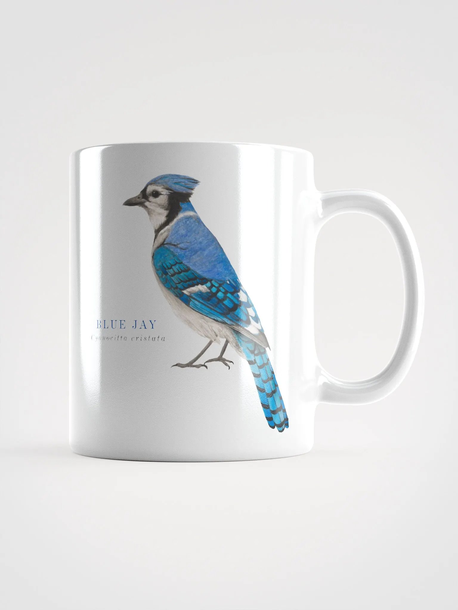 Blue jay mug product image (1)