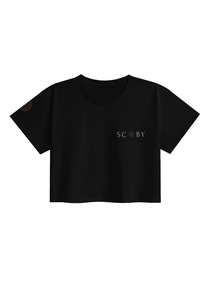 Embroidered Crop Top in Black product image (1)