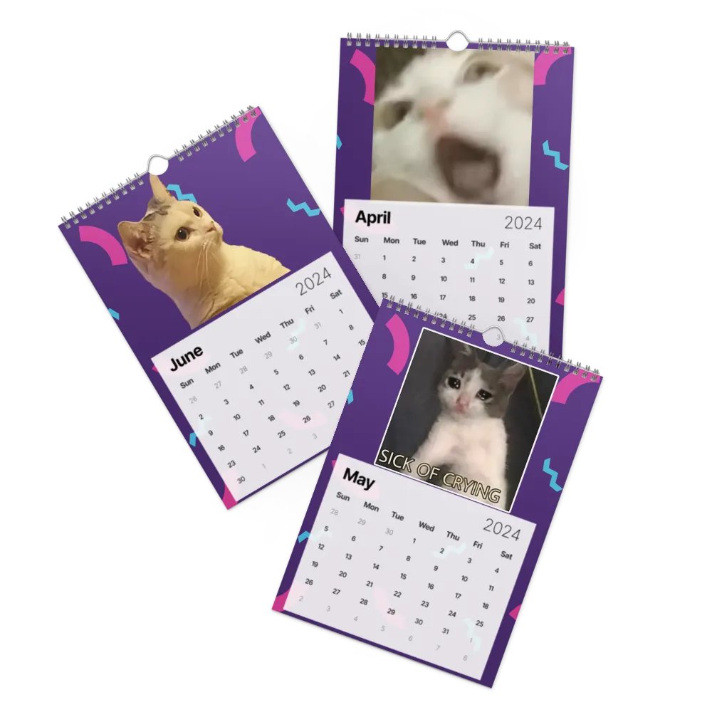 Wall Calendar (2024): Meme Cats product image (3)