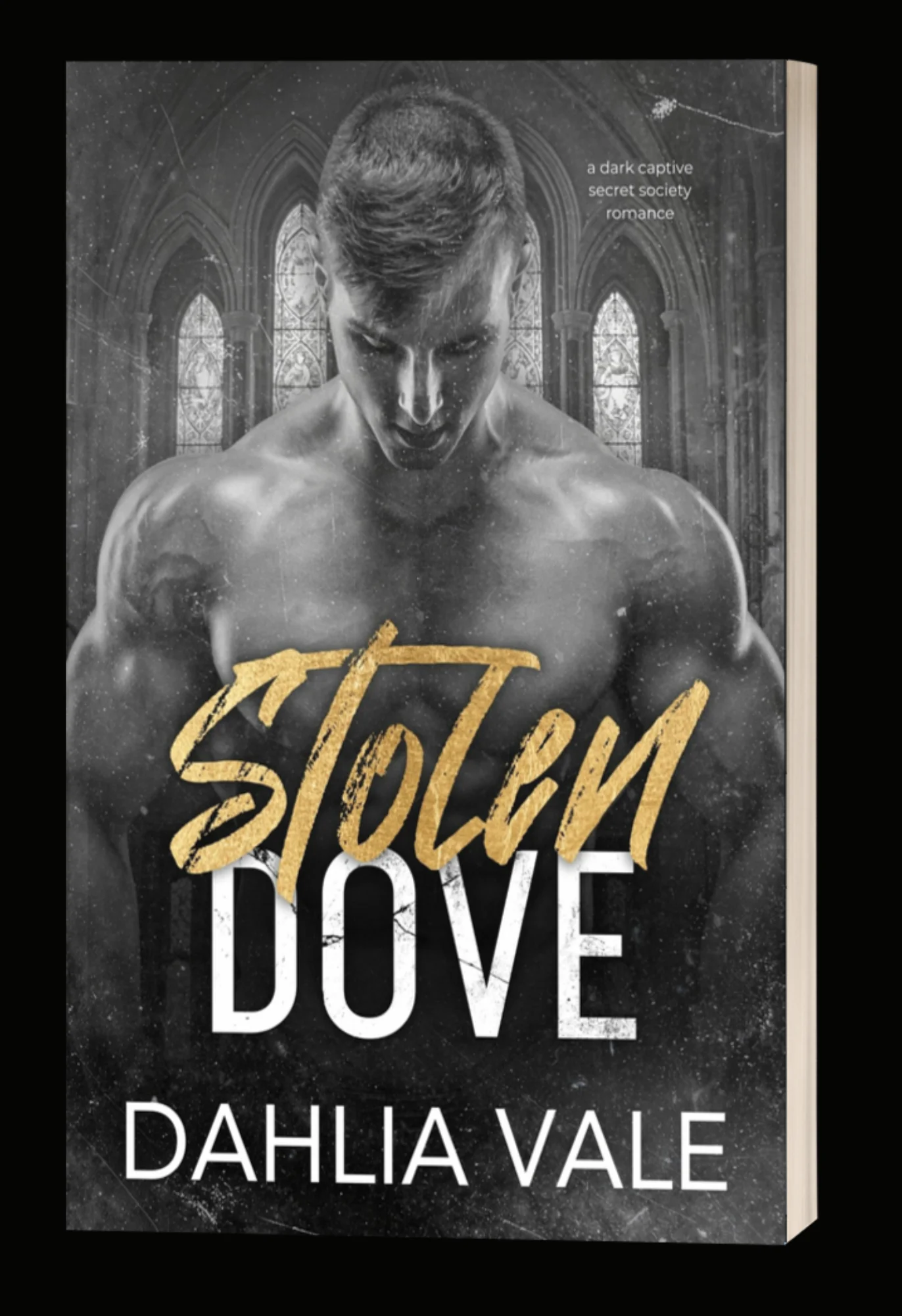 Stolen Dove: Signed Paperback product image (1)