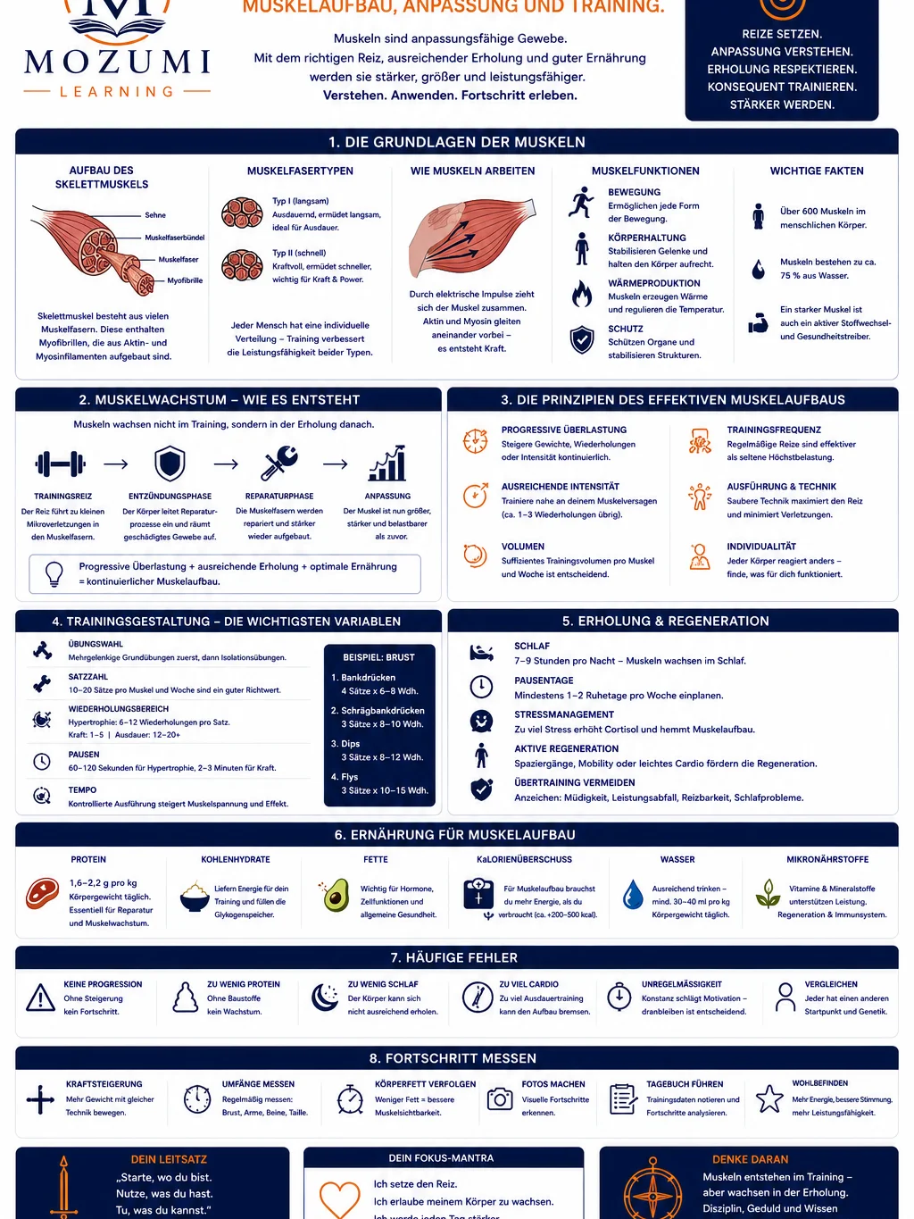 FITNESS & GESUNDHEIT - Infografik Nr. 2 (Muskeln verstehen) product image (1)