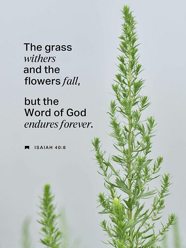 #Bible #endure #flower #faith