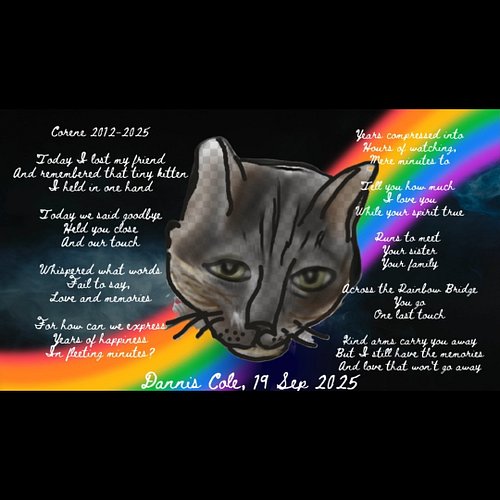 We lost our elderly Corene last week, so my birthday was very sad for me. We'll still be traveling with our 2 4-year old cats...