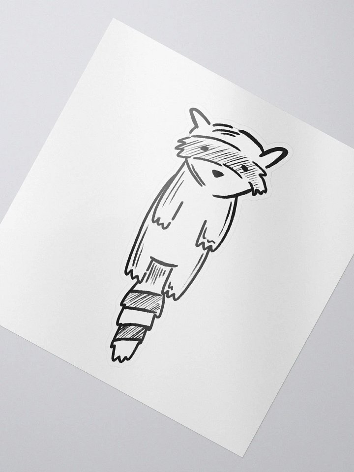 really cool raccoon product image (2)