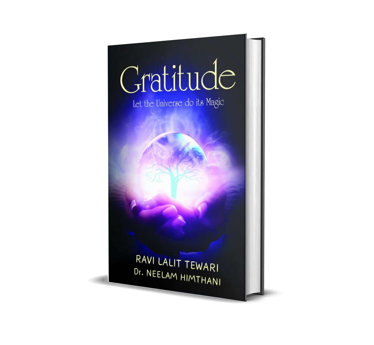 Gratitude: Let the Universe Do Its Magic product image (2)