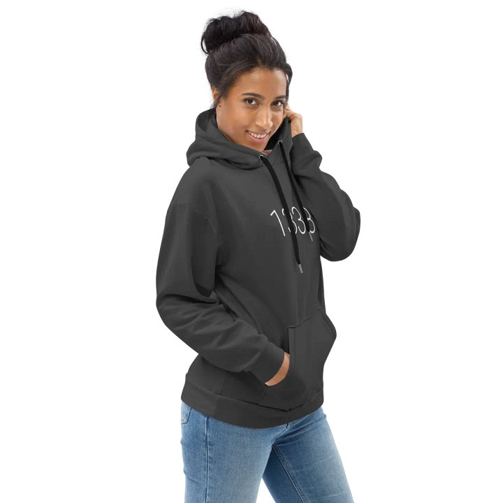 1338, beyond leet hoodie (darker grayscale mode) product image (2)
