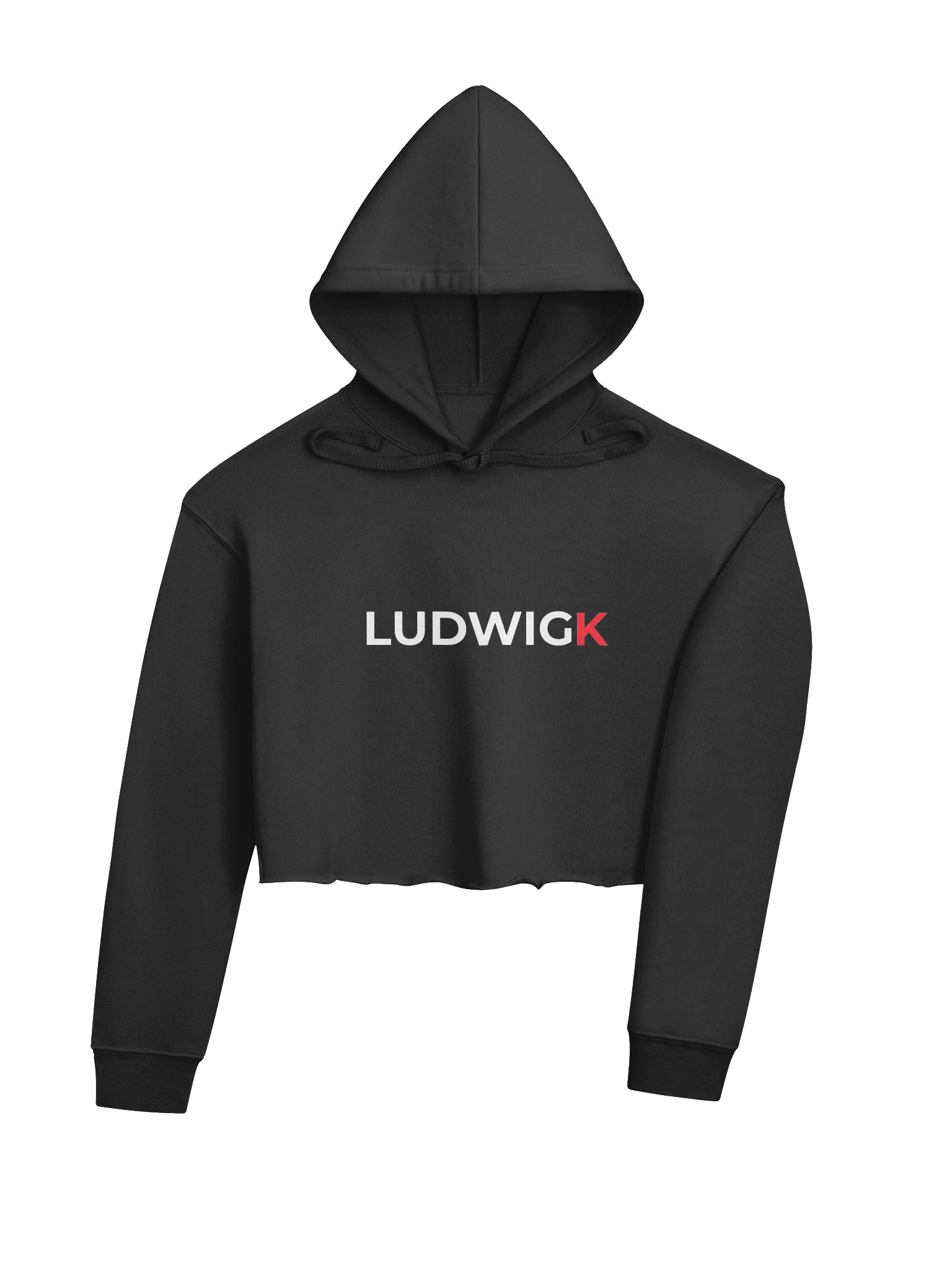 LUDWIGK - Signature Crop Hoodie product image (4)