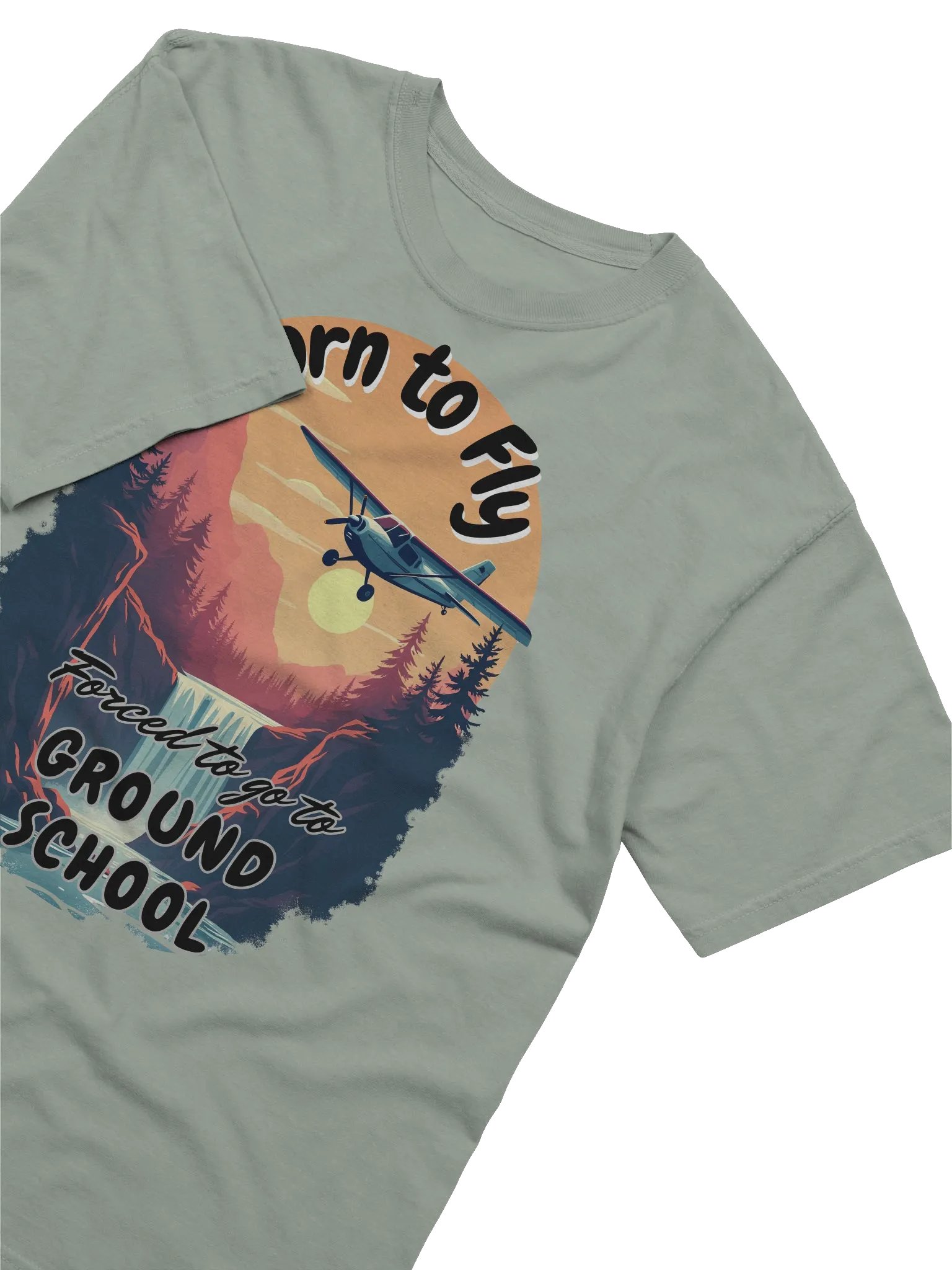 Born to Fly forced to go to ground school product image (39)
