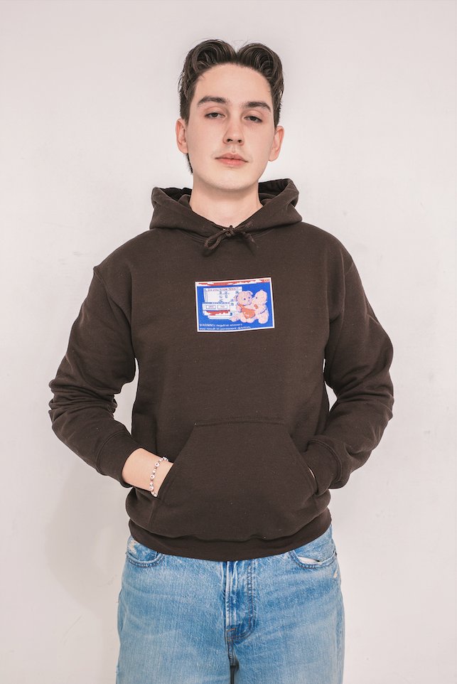 Twin Bears Hoodie - Brown product image (4)