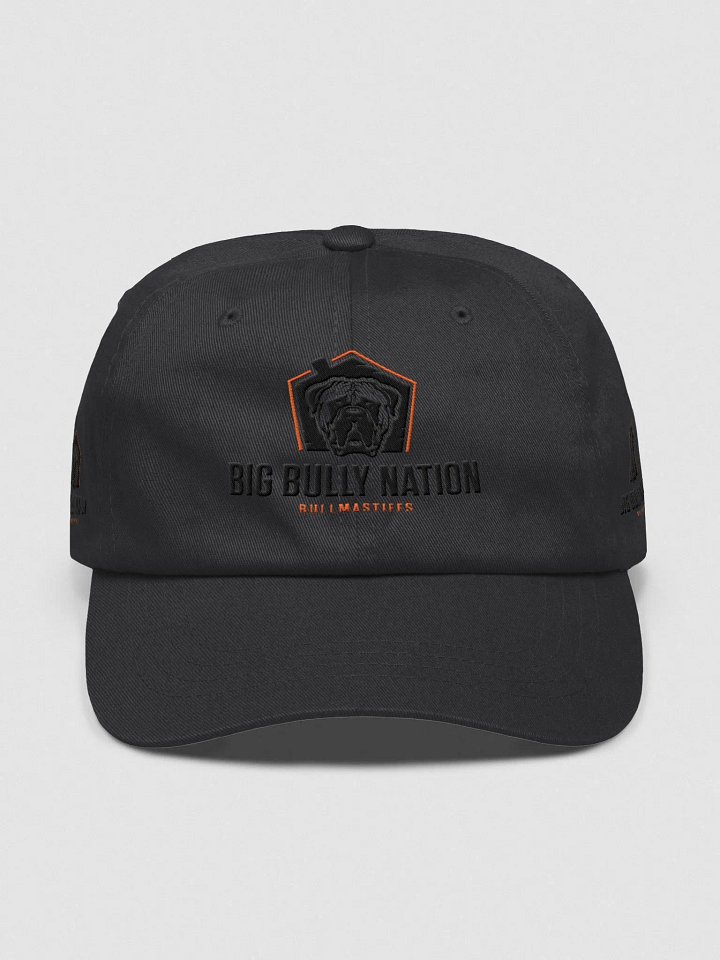 BBN Logo 1 Dad Hat product image (7)