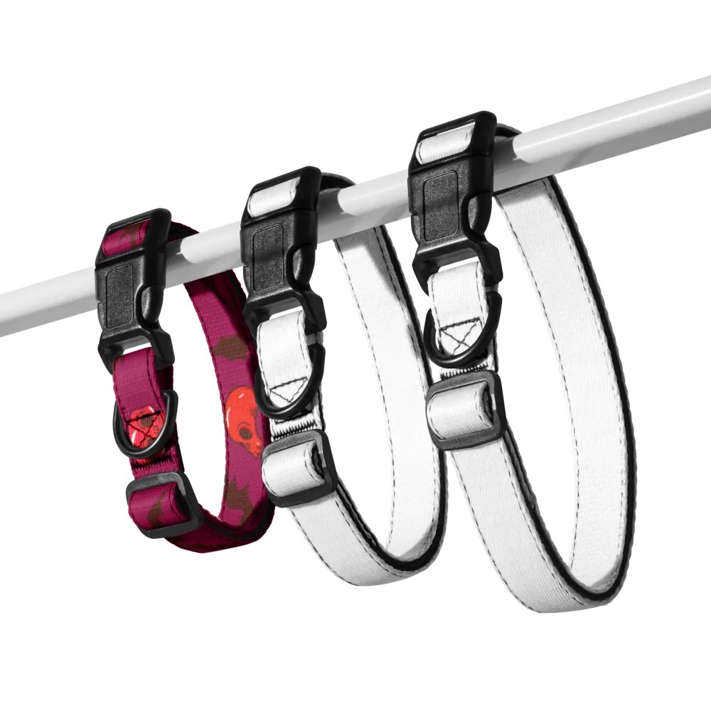 Spooky Poopy : bats & skulls product image (7)