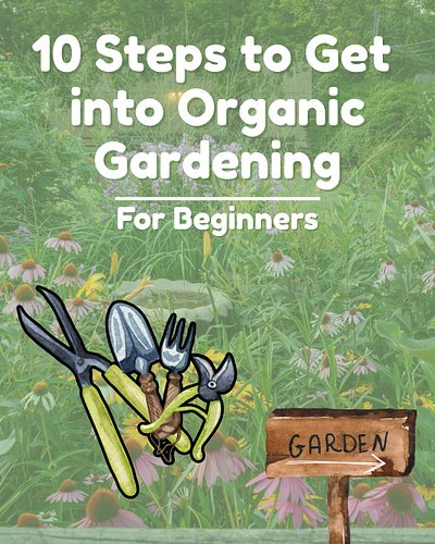 A simple guide to help you become a better Organic Gardener👨🏻‍🌾🍅

#gardeningmadesimple #beginnergardener #homesteadersofinsta...