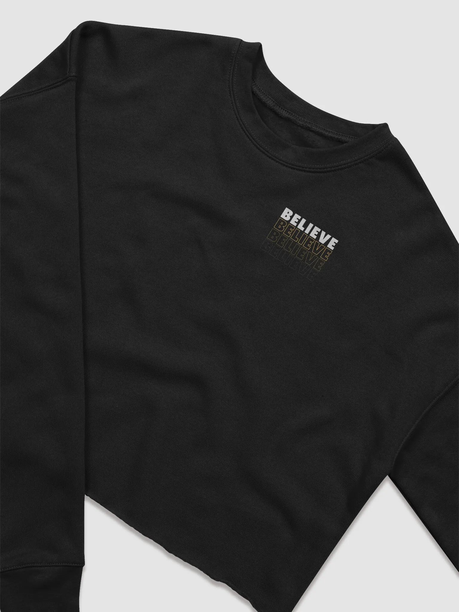 Believe Champion Crop Sweater product image (2)