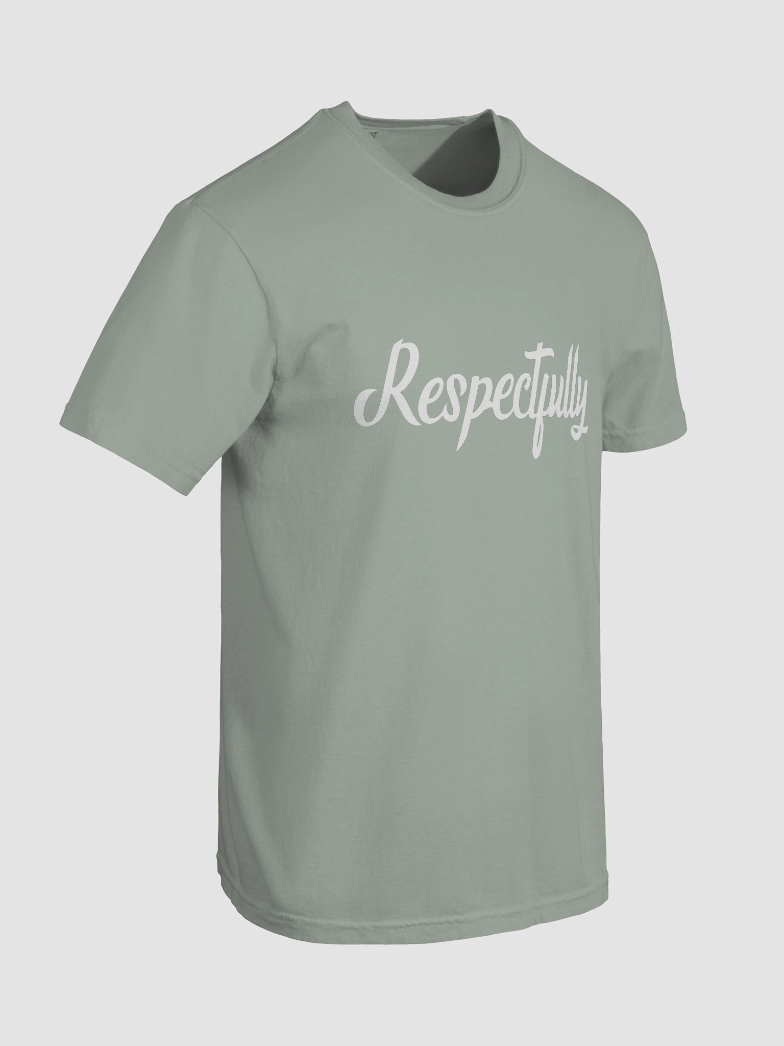 Respectfully Comfort Colors Tee product image (107)
