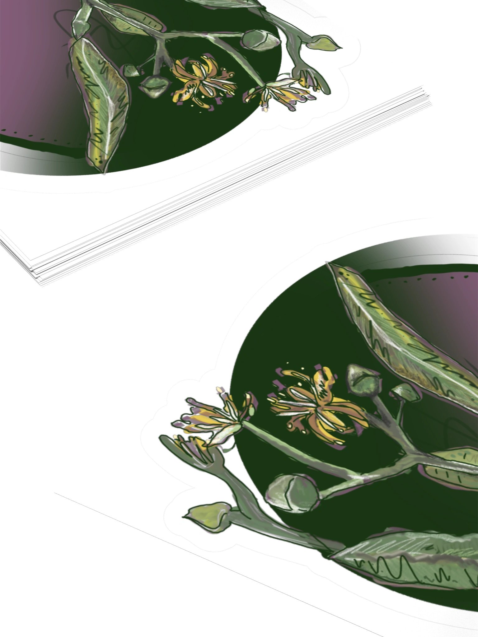 The Linden Blossom, Botanical Flower Sticker (3 inch vinyl) product image (4)