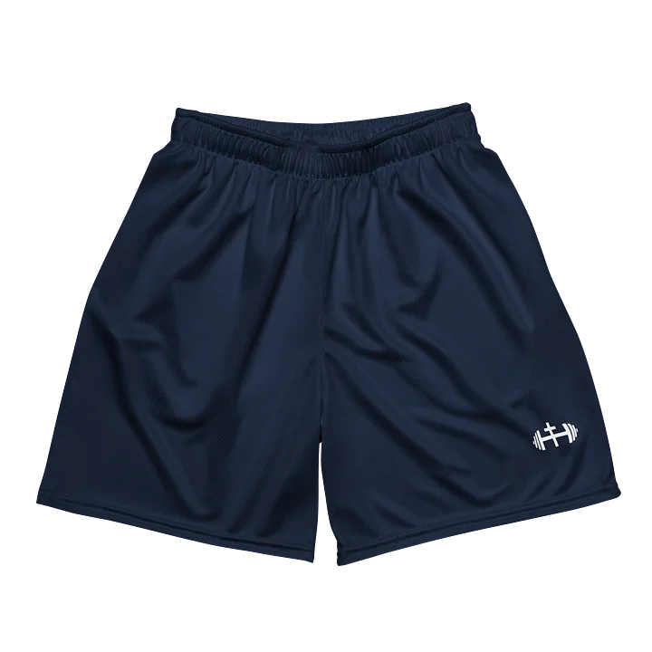 His House Mens Performance Mesh Shorts - Merlot product image (2)