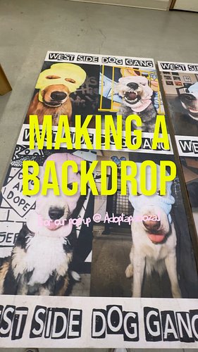📹 BTS of building our Paste Up Wall for Adoptapalooza.

We made it with some plywood, a bucket of wheat paste, and some poste...