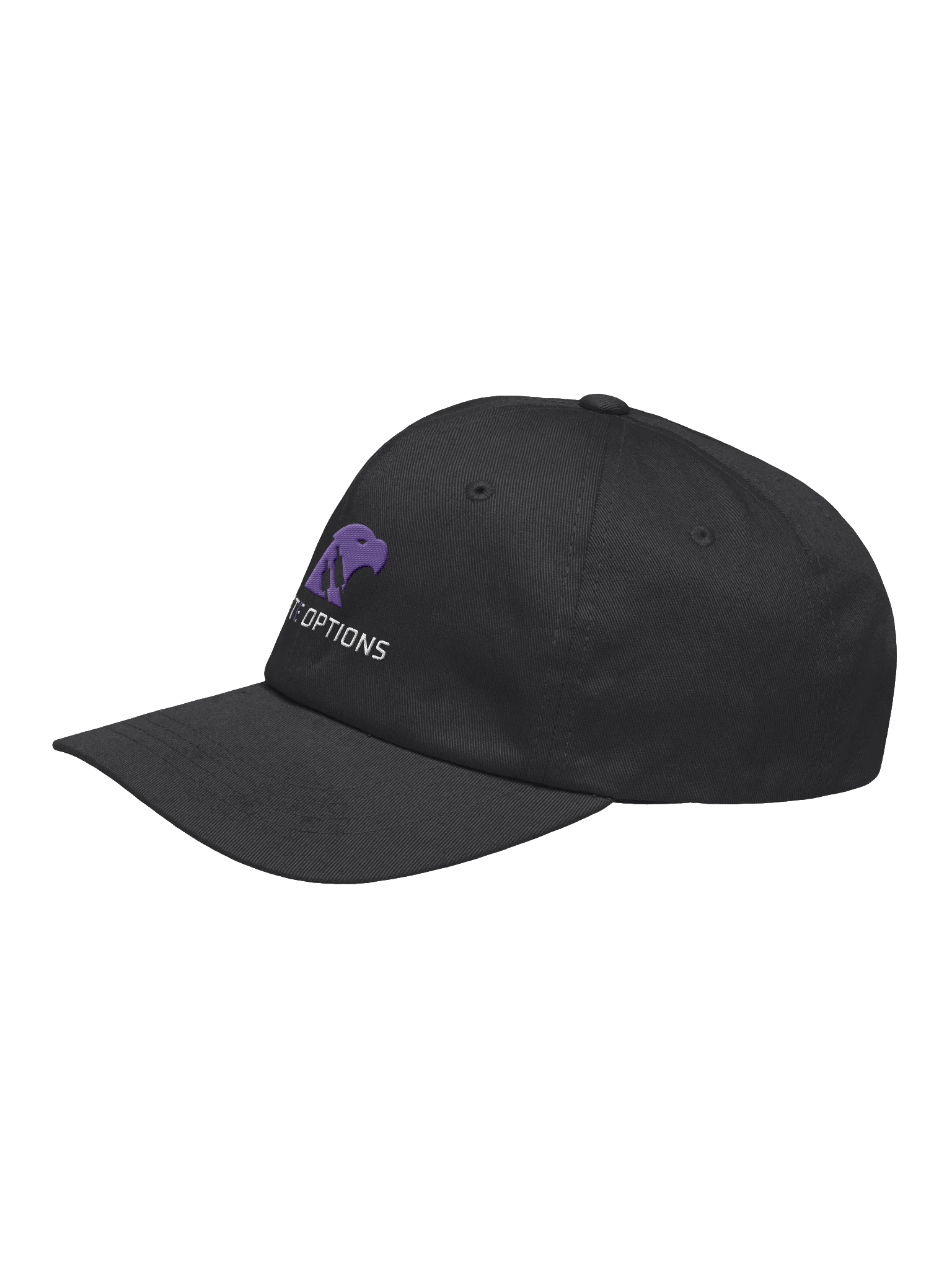 Elite Options Logo Hat product image (2)