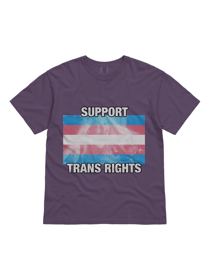 SUPPORT TRANS RIGHTS product image (1)
