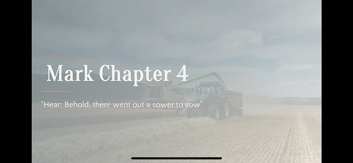 Mark chapter 4 study product image (1)