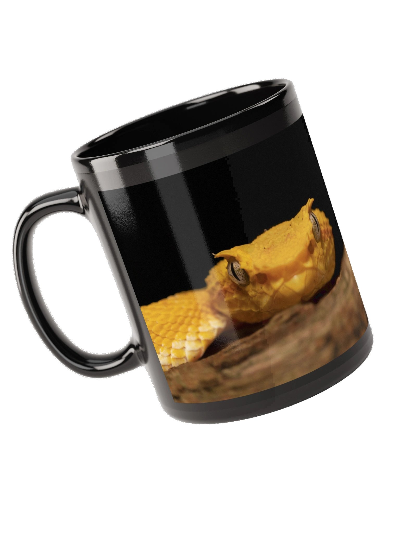 Eyelash Pitviper Mug | The Photo That Inspired Our Logo product image (5)