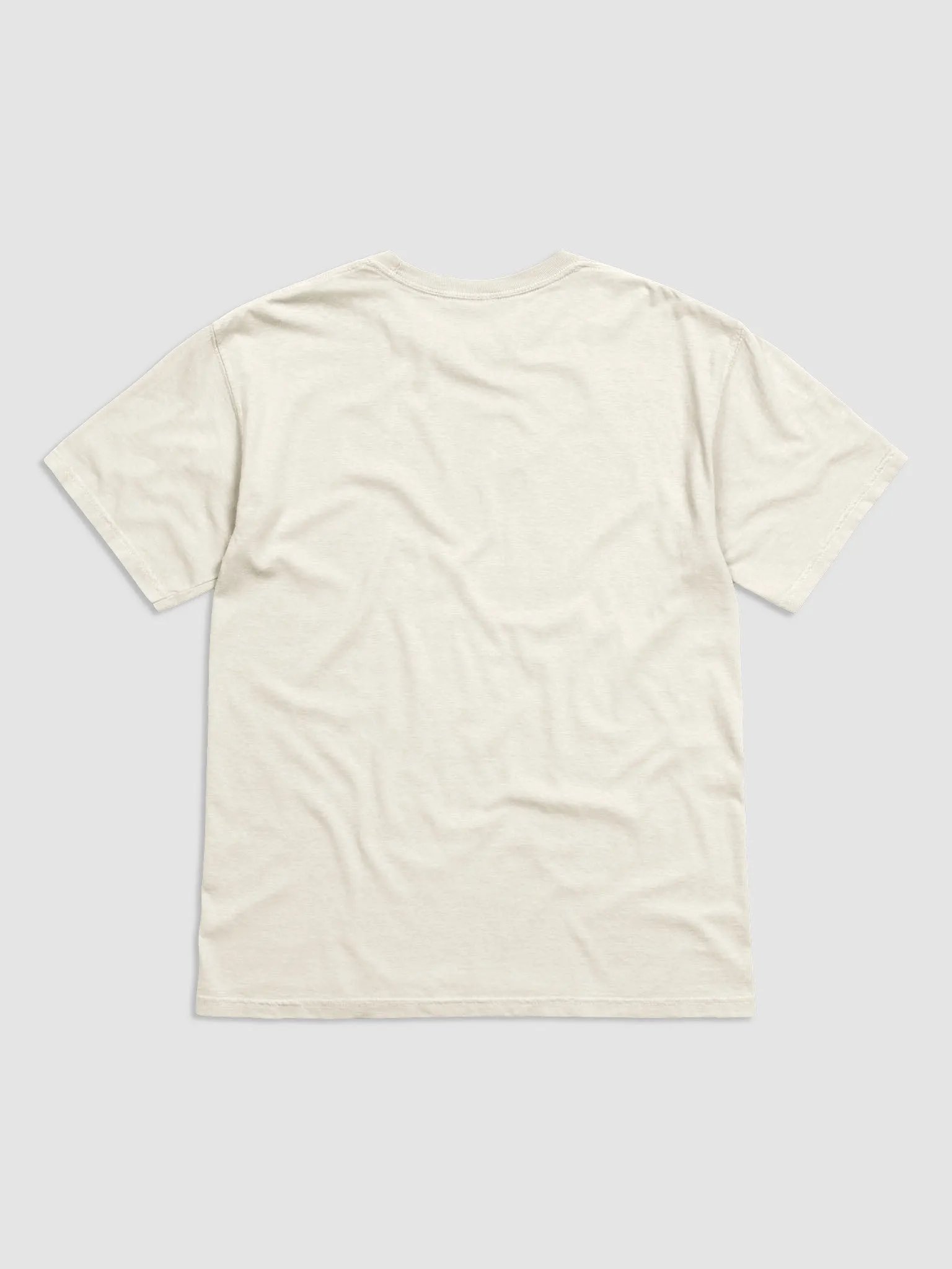 I Recently Moved To The Mountains T-shirt product image (27)