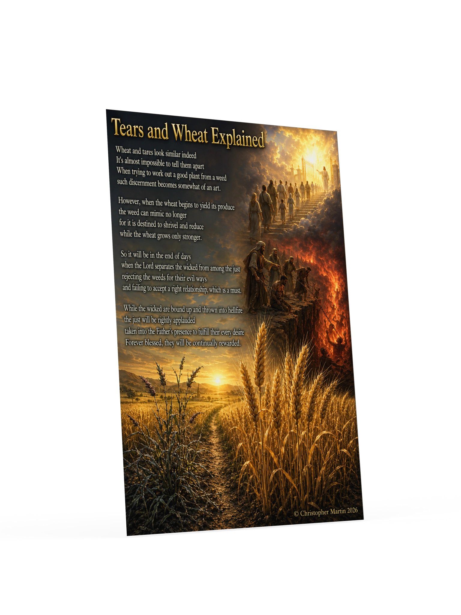 Tares and wheat explained product image (4)