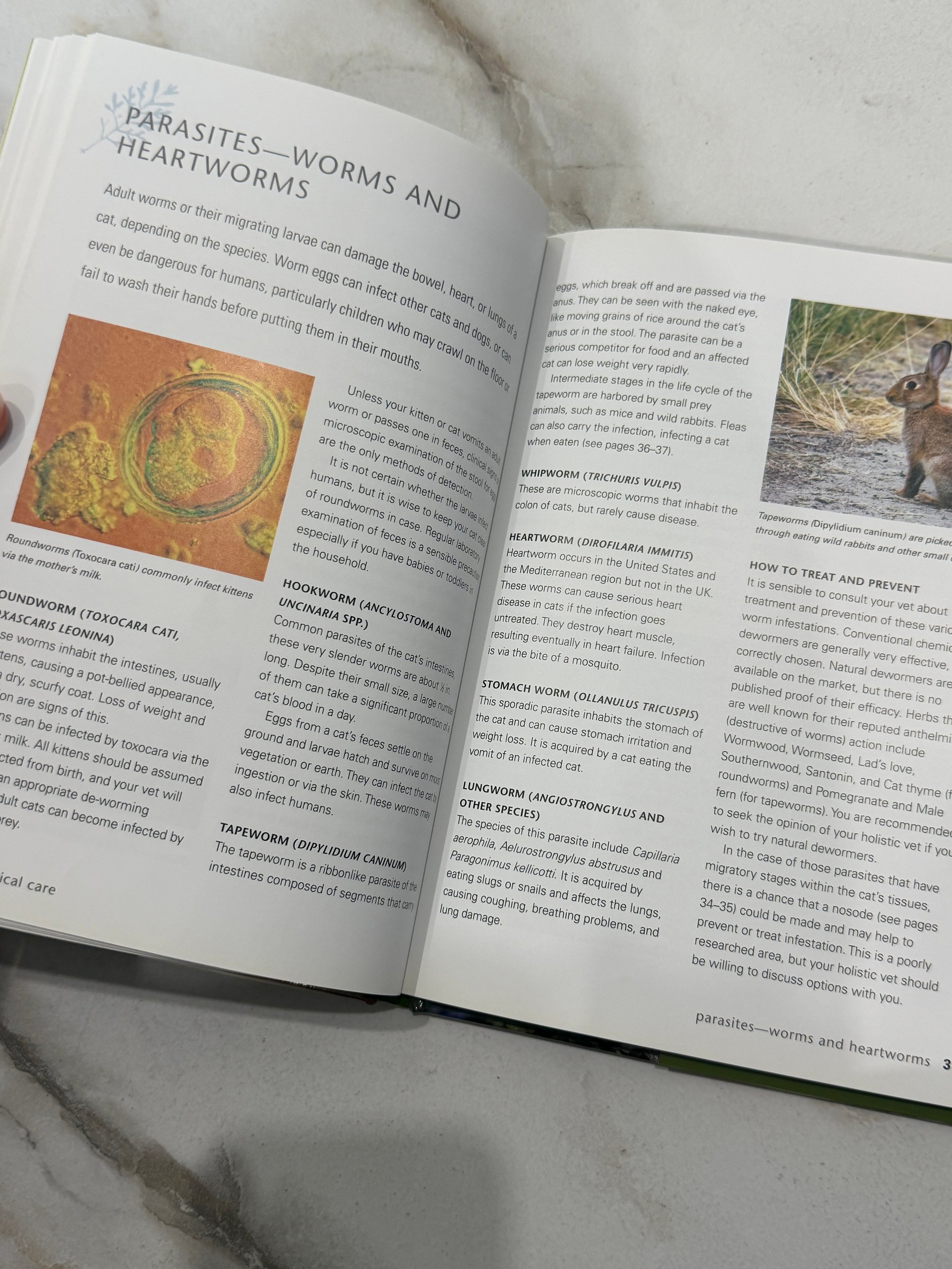 2010 | Natural Cat Care | Christopher Day | First Printing Hardcover product image (10)