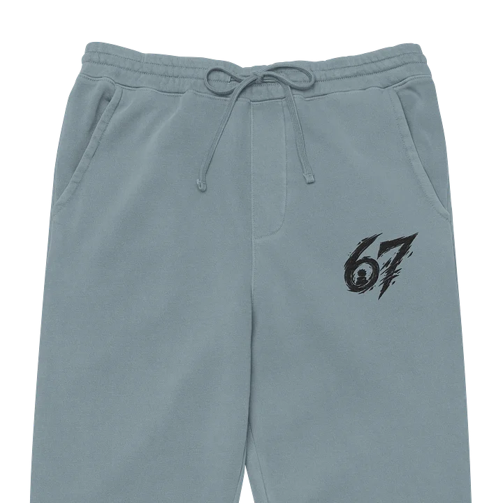 67 Pigment Dyed Joggers product image (2)