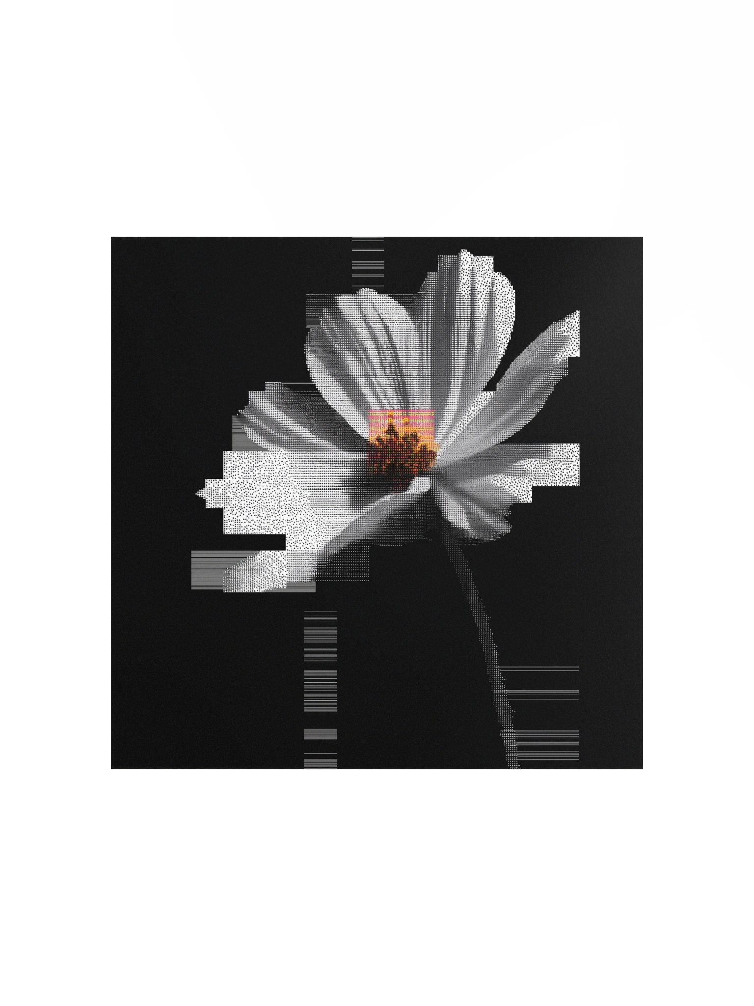 Flora.exe product image (4)