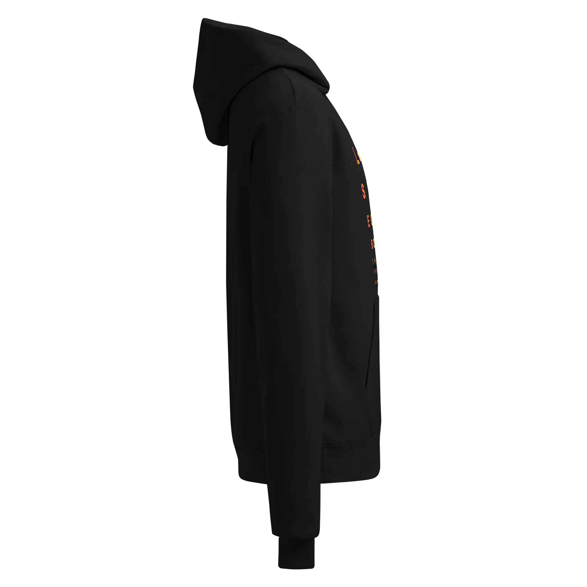 Champian Unisex Snellen Hoodie product image (4)