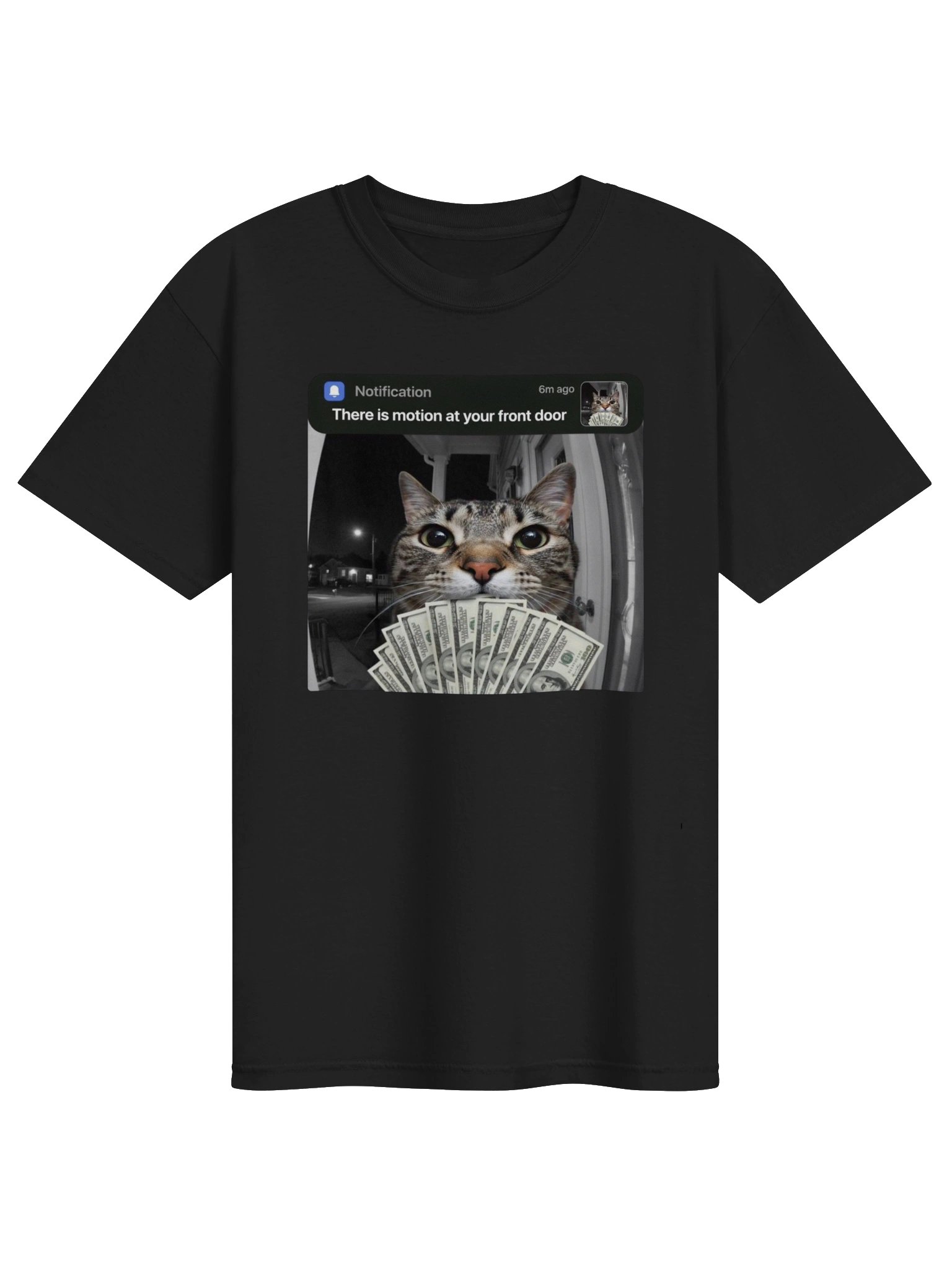 There is Motion At Your Front Door Funny Cat Motion Meme T-Shirt product image (8)