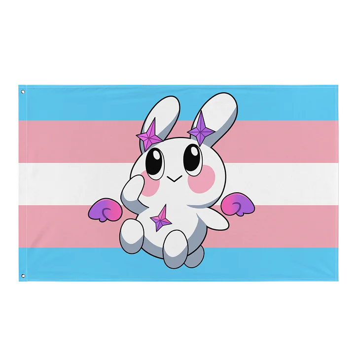 Trans Pride Flag - featuring Mellow! product image (1)