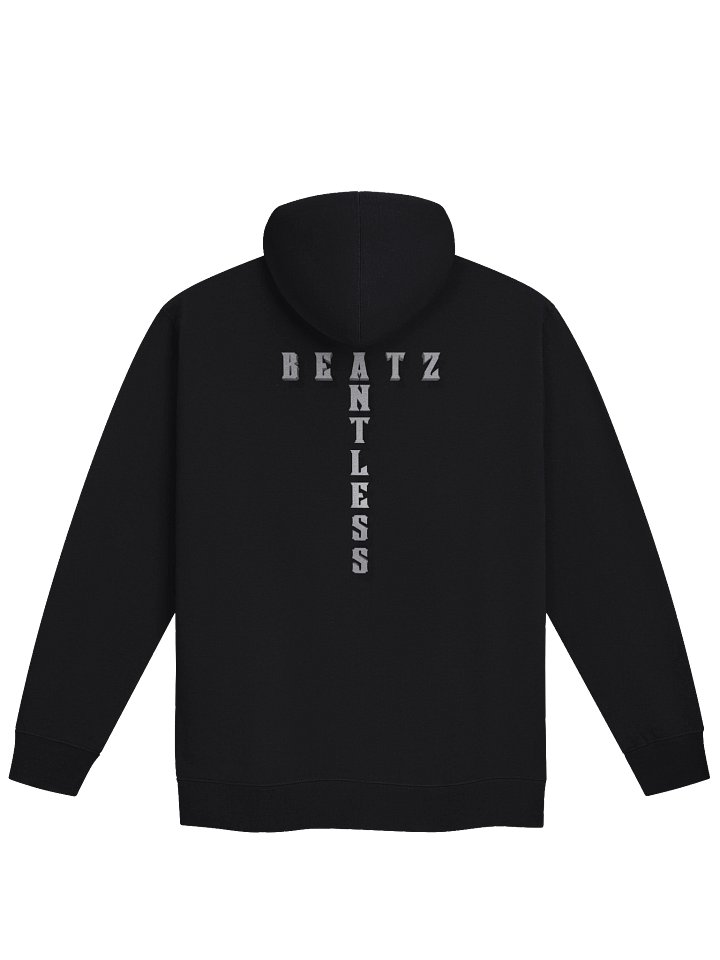 SB ZIP UP HOODIE product image (2)