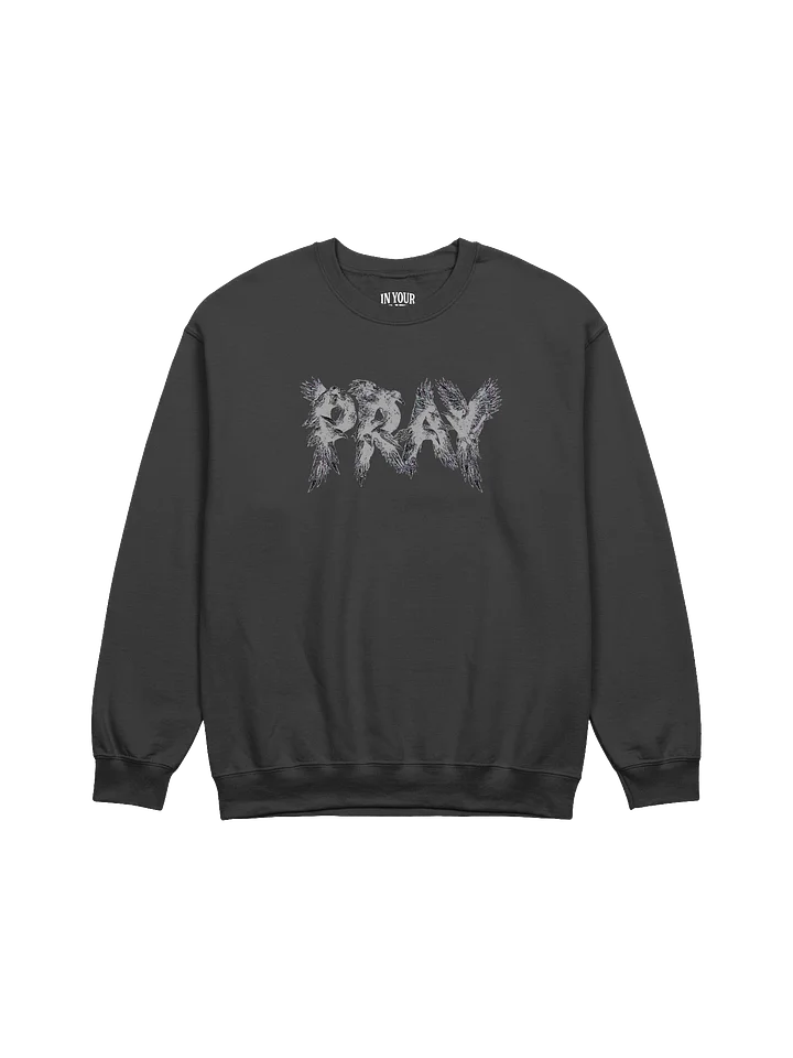 Birds Of Pray Sweatshirt product image (1)