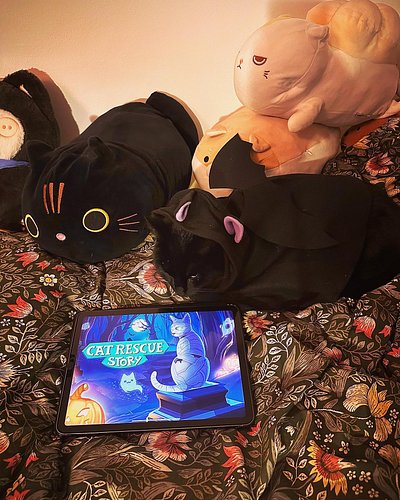 Our void cat became real and dressed up 😻 Little Emma assisted us to celebrate Halloween, do you also dress up your cat? Chec...