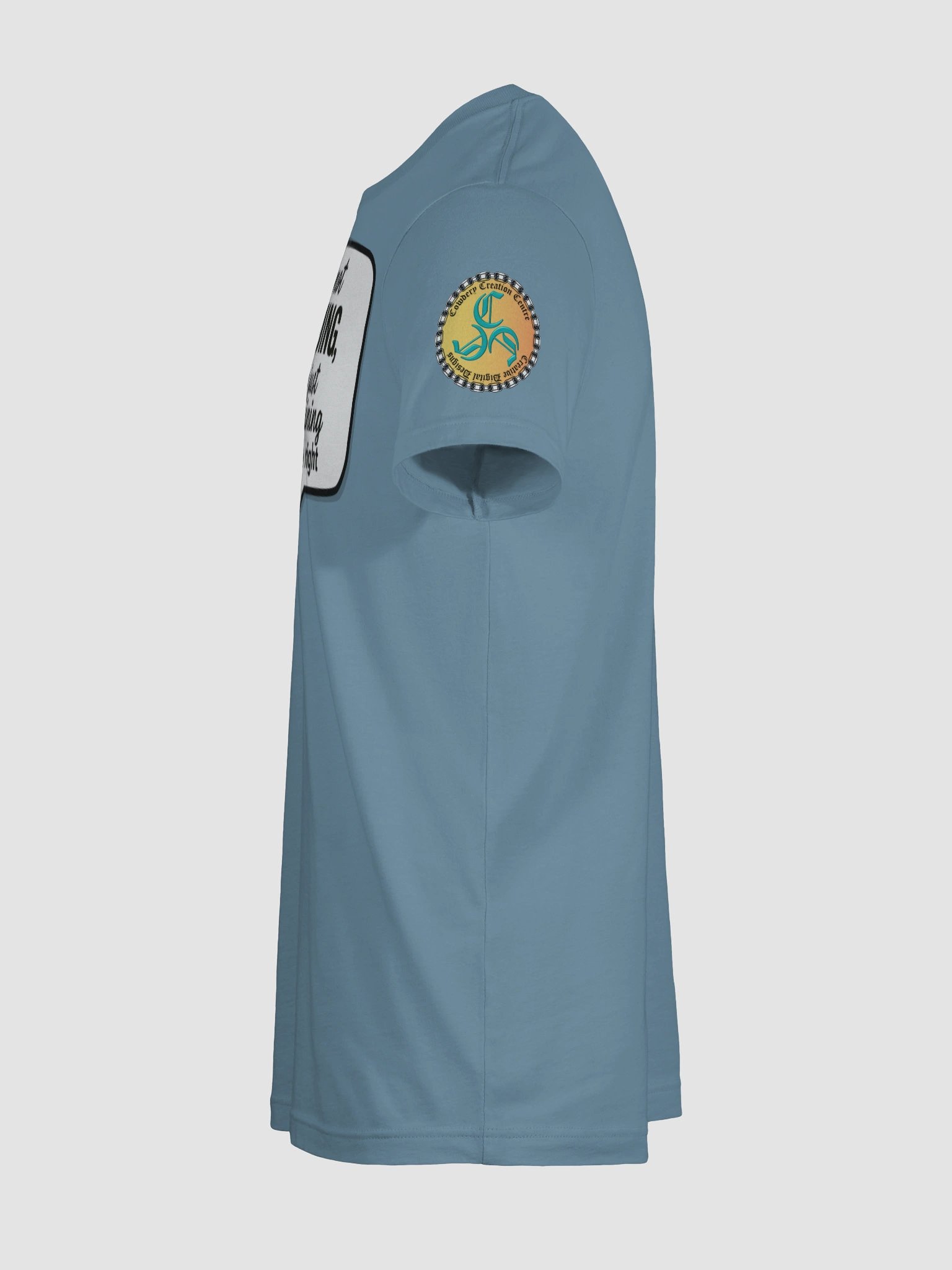 I'm not Arguing (Male) Bella+Canvas Supersoft T-Shirt Colors (3) product image (11)