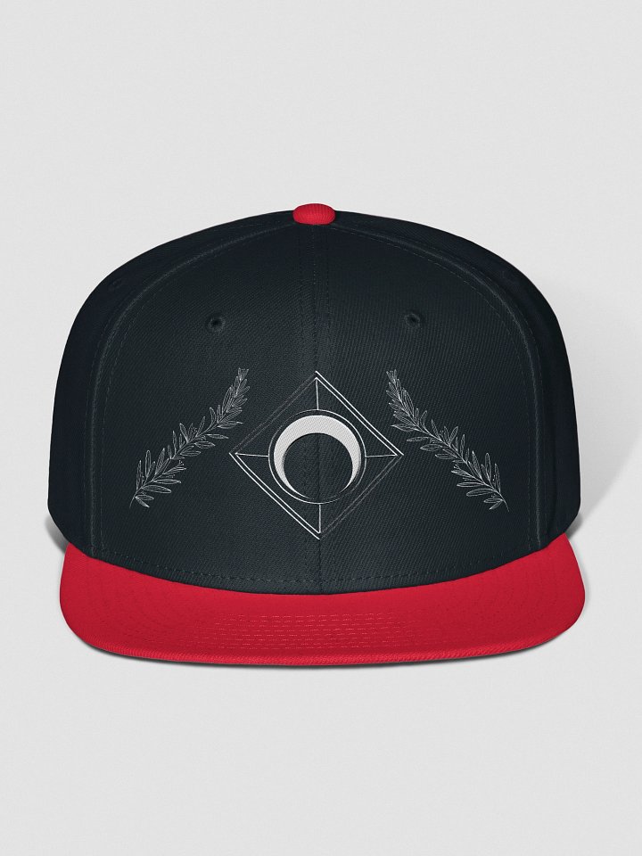 TerranRogue Logo Baseball Hat product image (7)