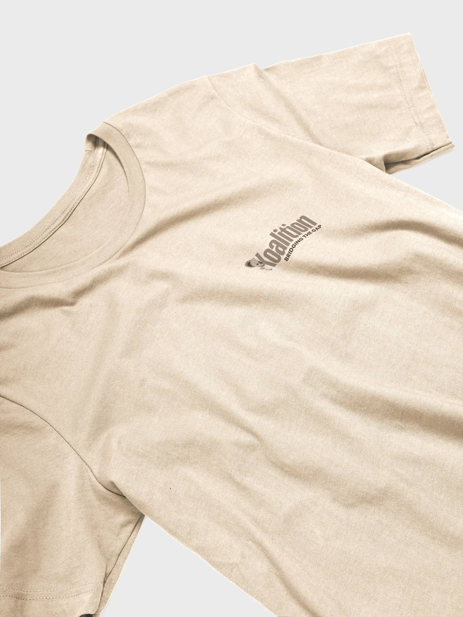 Bridging the Gap T-Shirt product image (19)