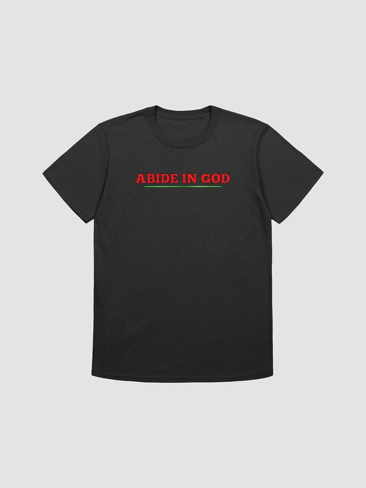 Abide in GOD product image (1)