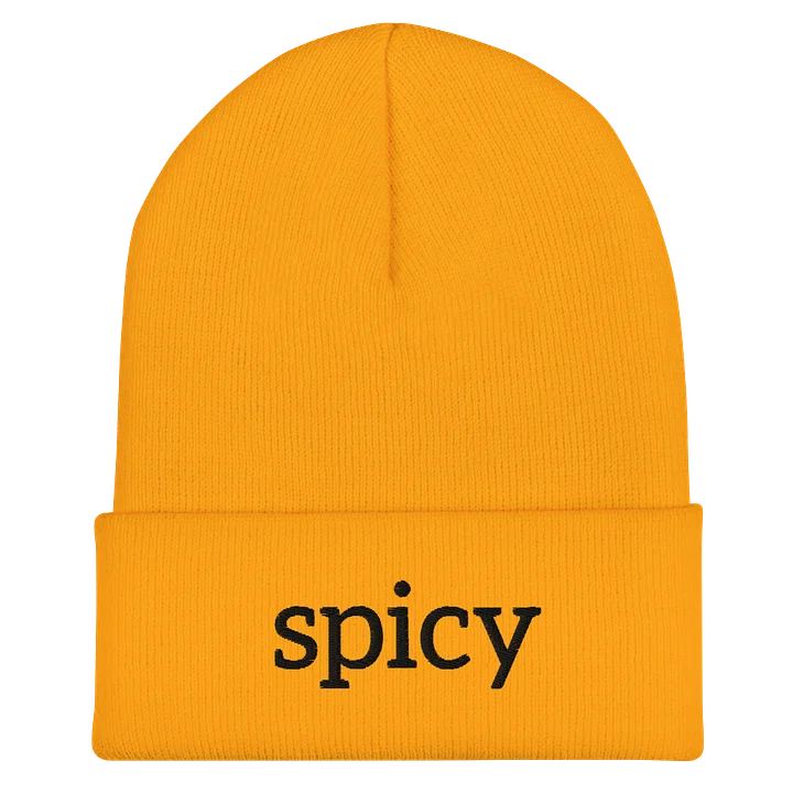 “Spicy” Cuffed Beanie (Black) product image (2)