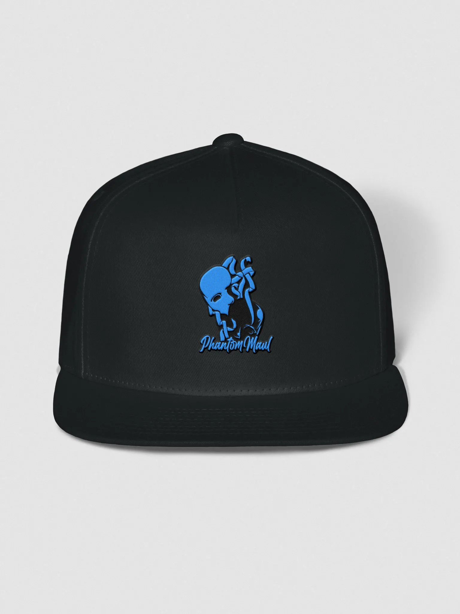 Blue Logo Snap-Back product image (1)