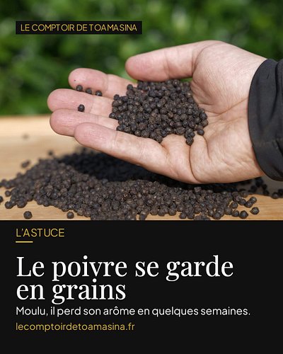 Le saviez-vous ? Le poivre perd son parfum une fois moulu. 🌶️

Le poivre doit toute sa puissance à ses huiles essentielles, t...