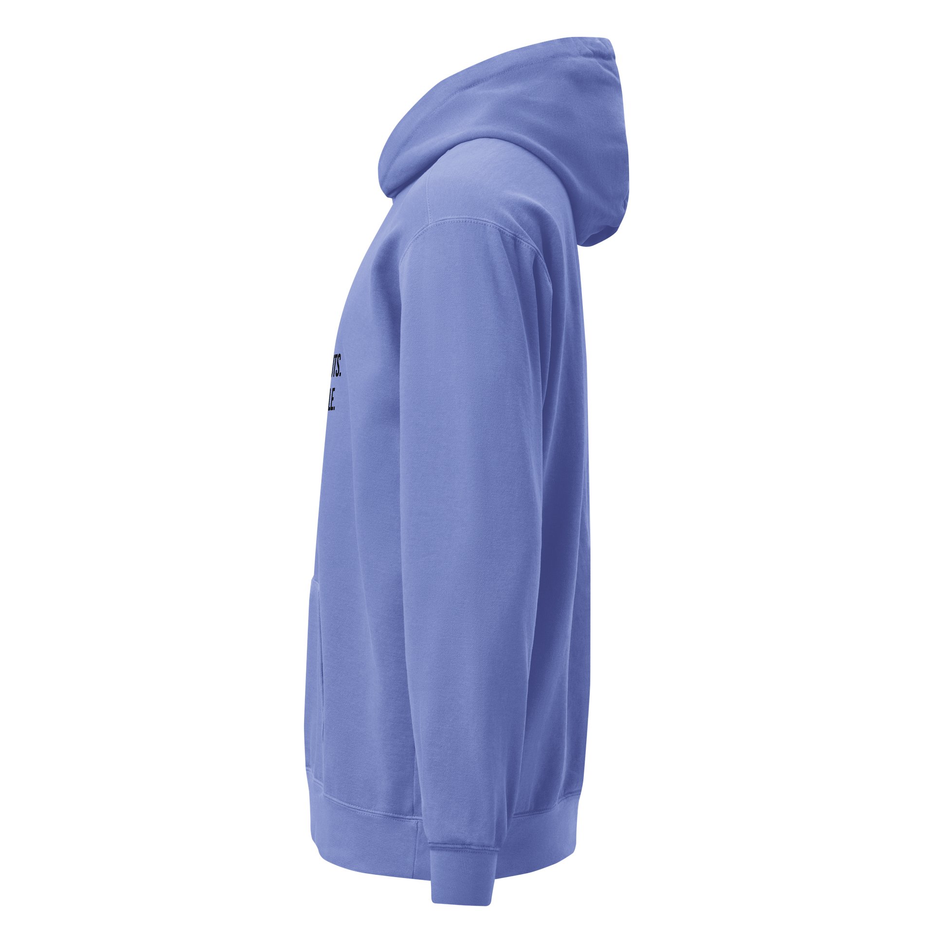 NO HANDOUTS. JUST HUSTLE. (Blue Edition) product image (5)