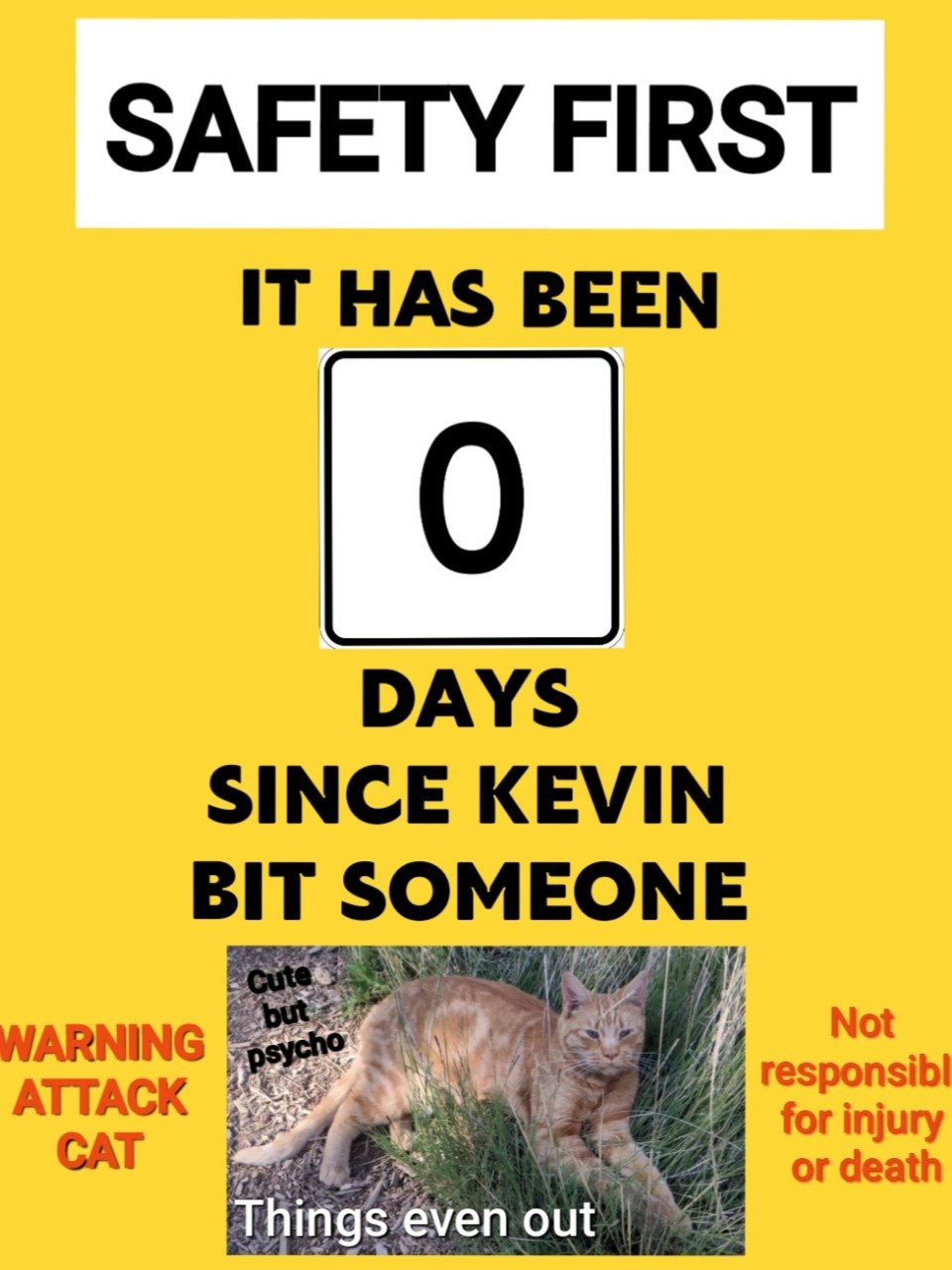 Unleash Your Inner Kevin! product image (4)