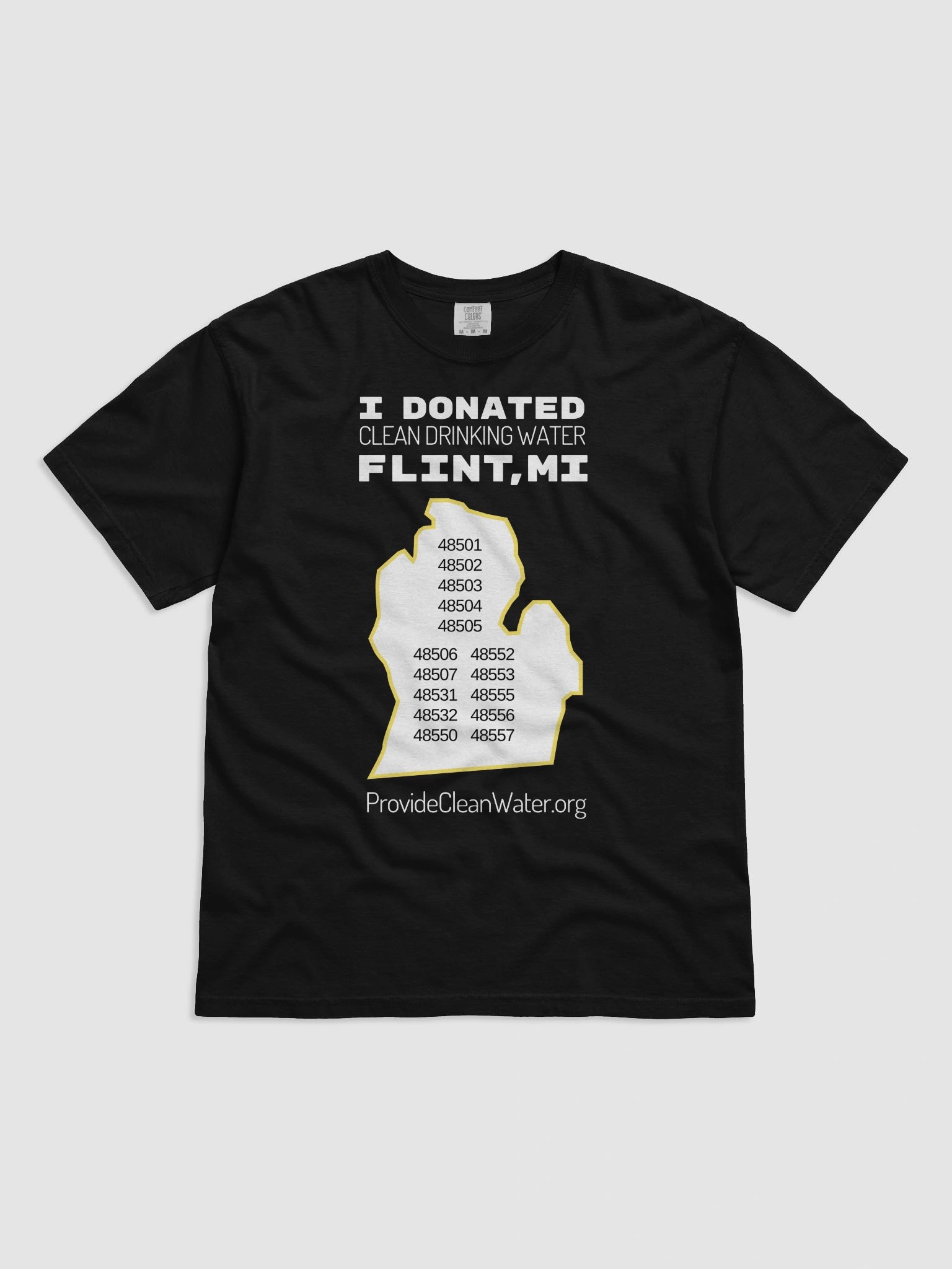 I Donated Flint, MI Color T-Shirt product image (1)