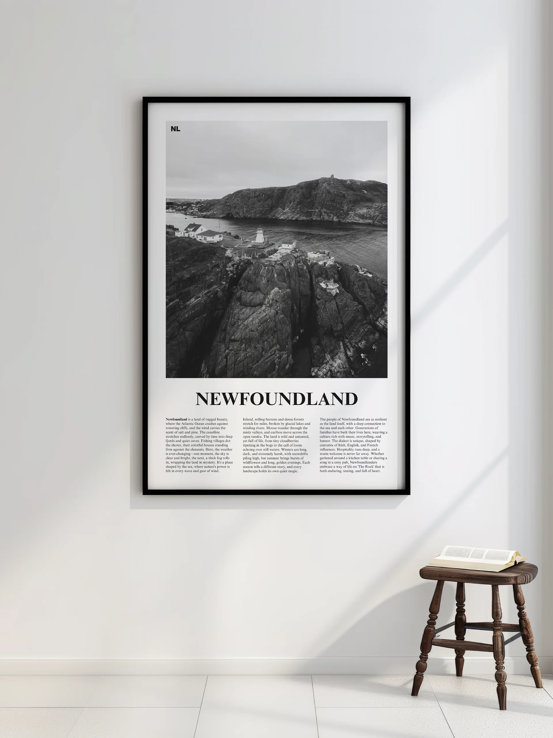 Newfoundland 01 Newspaper Poster product image (2)
