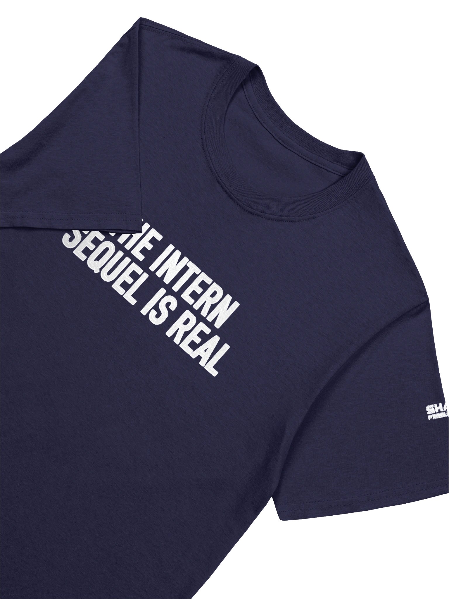 THE INTERN "Sequel is Real" Shirt product image (7)