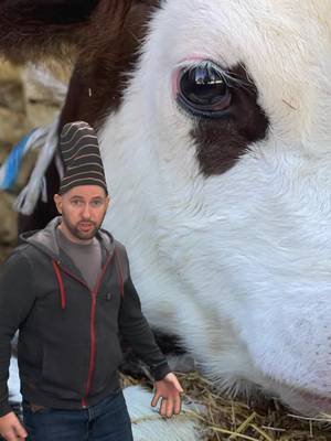 I squeal, you squeal, we all squeal....especially the veal#picklehour#comedy#veal